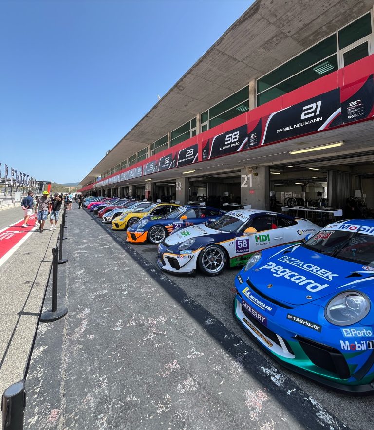 autodromo carros 768x883