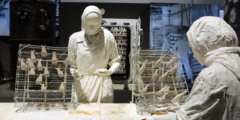 pescadores museu de portimao 768x384