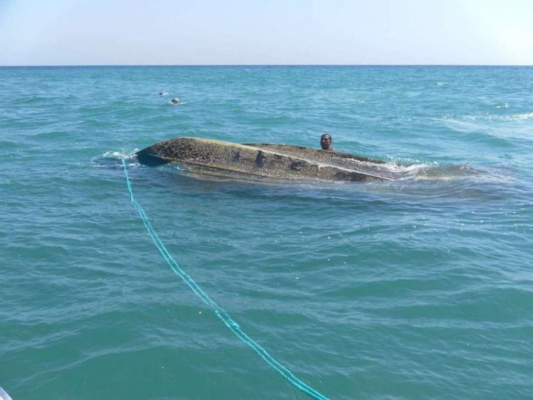 pinguim sub destrocos 768x576