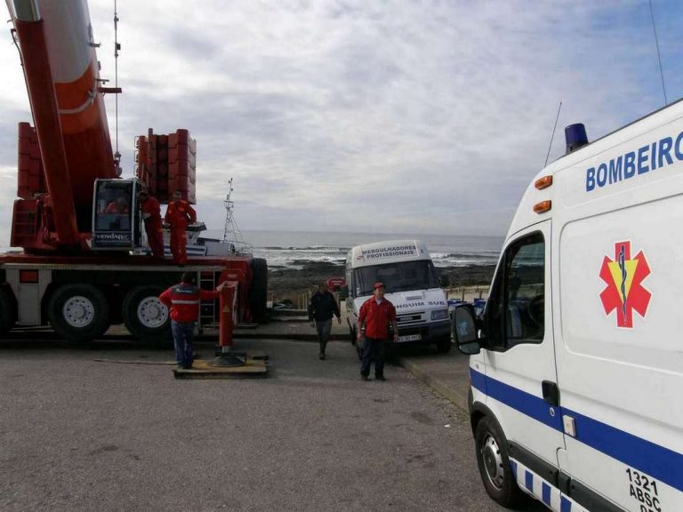 pinguin sub gruas 768x576