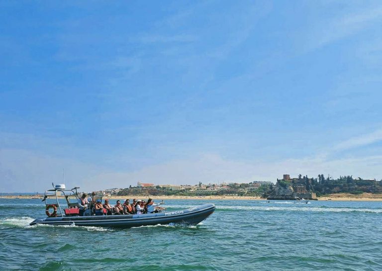 seadolphins barco 768x545