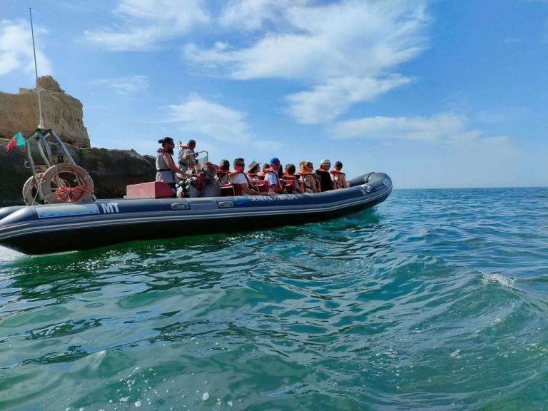 seadolphins barco em mar 768x576