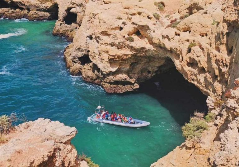 seadolphins grutas 768x539