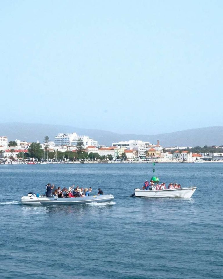 welcome boat tours 768x960