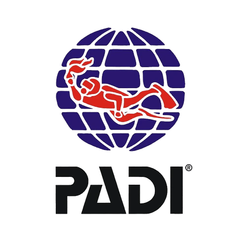 Logótipo oficial da PADI - Associação Profissional de Instrutores de Mergulho